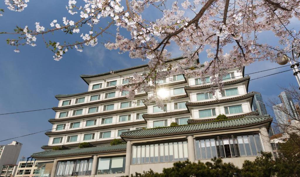 Hotel Illua Ciudad Metropolitana de Ciudad Metropolitana de Busan Exterior foto